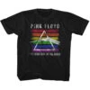 Rainbow Kids Childrens T-shirt(Pink Floyd Rainbow Kids Childrens T Shirt 415576) 2 Rainbow Kids Childrens T-shirt(Pink Floyd Rainbow Kids Childrens T Shirt 415576) -ROCABILIA CLOTHING SALE 415576F