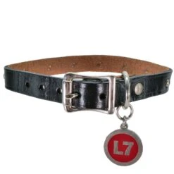 Dog Collar Necklace Necklace(L7 Dog Collar Necklace Necklace 449837)